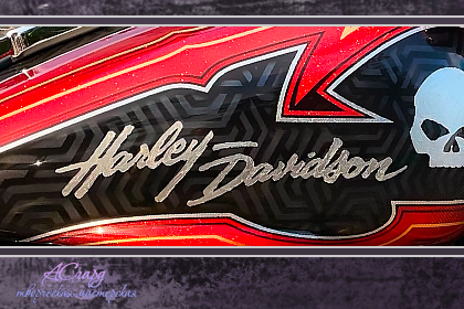 Аэрография на мотоцикле Harley Davidson Electra Glide. Geksagon. 