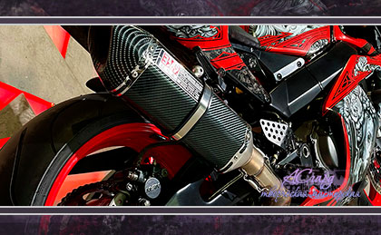 Аэрография на мотоцикле Honda CBR 954 RR FireBlade. Chicano.